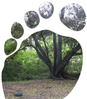 Environmental footprints