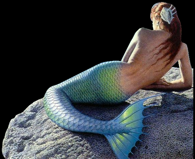 mermaid11