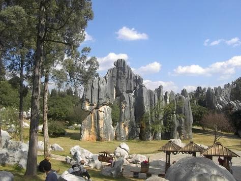 stone_forest2 stone_forest2