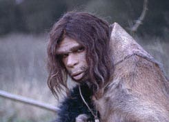 Neanderthals+and+humans+coexist