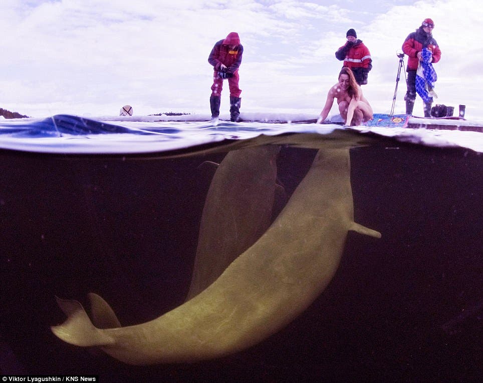 Naked female scientist dives in with Arctic whales to test theory