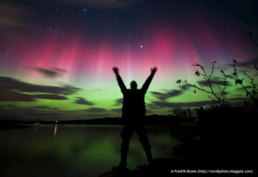 Kvaløya, Norway Northern Lights. (c) Fredrik Broms