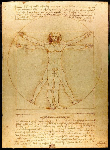 vitruvian man - by leonardo da vinci