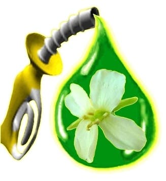 biofuel_logo11