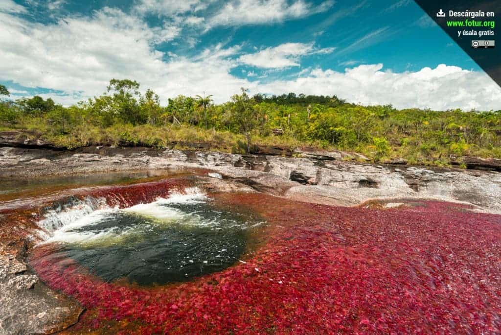 Uno de los lugares más hermosos de Caño Cristales es el sector conocido como Los Ochos, donde se encuentran formaciones rocosas de gran belleza, llamadas Marmitas de Gigante — Licencia Creative Commons Reconocimiento 4.0 Internacional. Algunos derechos reservados, 2014 por Fotur / Fotografía: Mario Carvajal (http://www.mariocarvajal.com). Usted puede usar esta foto gratuitamente según la licencia establecida en Fotur (http://www.fotur.org), haciendo el v'inculo hacia www.cano-cristales.com