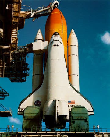 endeavour