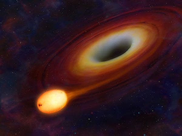 black-hole-swallows-star_36618_600x450 Artist impression of a star getting ripped by a supermassive black hole. (c) Mark A. Garlick, University of Warwick