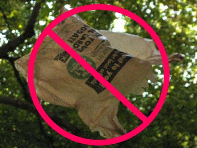 plastic bag ban