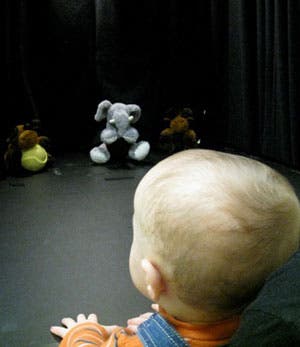 "Good moose, bad moose. The elephant? All the same." Babies as young as eight months old want to see bad puppets punished for anti-social behaviour. (UBC) 