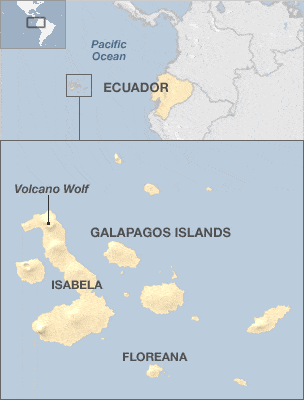 Galapagos islands giant tortoise 