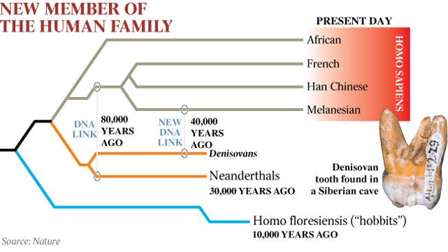Ancestors of homo sapiens breeding 