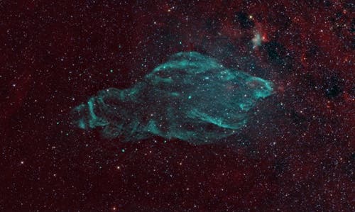 manatee-nebula