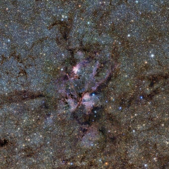 An infrared image of the Lobster nebula, filled with glowing clouds of gas and tendrils of dust surrounding hot young stars. (c) ESO