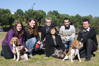 Universitat Autònoma de Barcelona researchers have successfully cured type 1 diabetes in dogs, a breakthrough that gives hope that the same effects might be achieved for humans as well. 