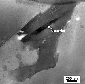This scanning transmission electron microscope image shows the Wassonite grain in dark contrast. (c) NASA