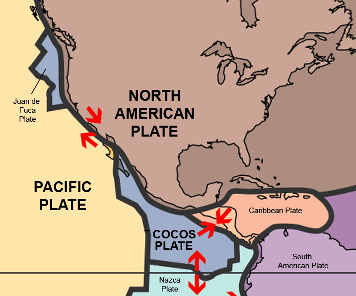 cocos plate