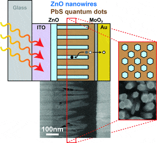 quantum-dots-cell