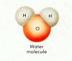 molecue