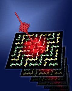 Magnetic structure in a colossal magneto-resistive manganite is switched from antiferromagnetic to ferromagnetic ordering during about 100 femtosecond (10^-15 s) laser pulse photo-excitation. With time so short and the laser pulses still interacting with magnetic moments, the magnetic switching is driven quantum mechanically– not thermally. This potentially opens the door to terahertz (10^12 hertz) and faster memory writing/reading speeds.(credit: DOE Ames Laboratory)