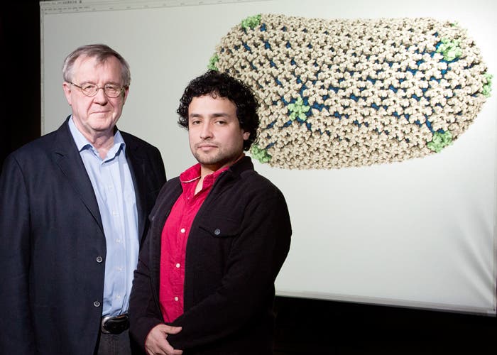 Klaus Schulten, professor of physics; and Juan Perilla, postdoc with Theoretical and Computational Biophysics Group at the Beckman Institute with projection of atomic-level detail of the structure of the HIV capsid (outer shell).