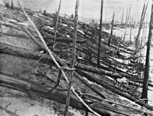Severed trees in the wake of the Tunguska alleged meteor impact. Photo circa 1908. (c) UNIVERSAL HISTORY ARCHIVE/GETTY IMAGES