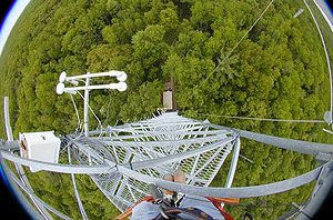 Fisheye view from a data collection forest tower. (c) Harvard University 