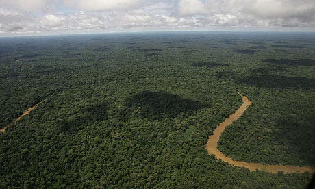 An aerial view of the Yasuni National Park, in Ecuador's northeastern jungle. Photograph: Dolores Ochoa/AP
