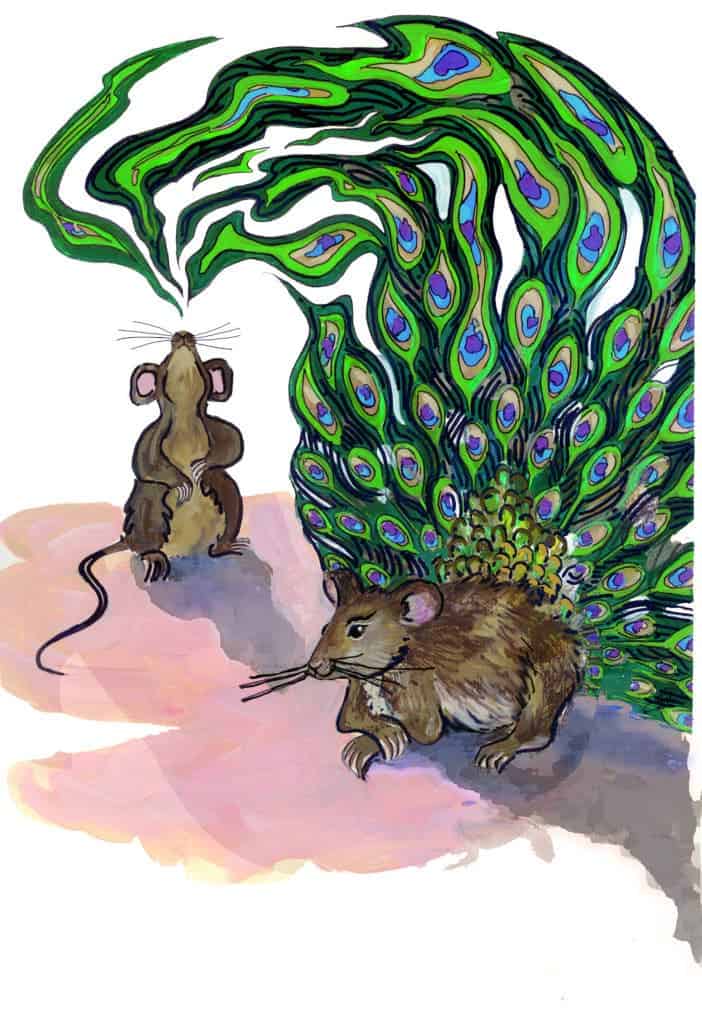 This illustration depicts how the researchers liken the way mouse pheromones act much like a male peacock’s tail to attract mates. Illustration by Sarah Bush, University of Utah