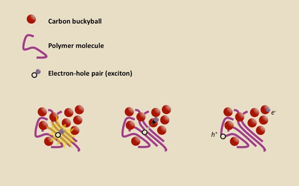 A gradient at the solar cell interface between disordered polymers and ordered buckyballs splits the exciton, allowing the electron (purple) to escape and produce an electric current. (c) Stanford University
