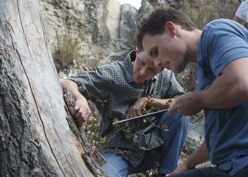 Professor Bekker and a student extract a core sample from a dead tree in Provo canyon