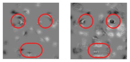 Participants in the study were shown images of partially obscured faces and asked to decide which emotion they were showing. They did not see the red circles shown here to outline the areas where the faces appeared. - See more at: http://www.caltech.edu/content/sorting-out-emotions#sthash.hOjJsi1h.dpuf