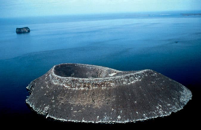 The island of Daphne Major. Photo: D. Parer and E. Parer-Cook