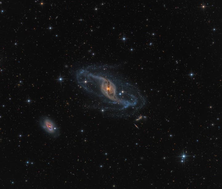 NGC 3718 by Mark Hanson (USA)