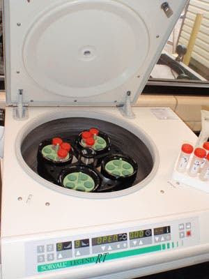 Blood vials are centrifuged for purification. Photo: USFWS/Southeast/Flickr
