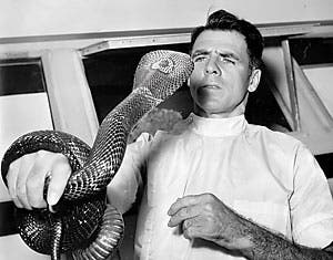 Haast handling a nervous cobra. Photo: bilhaast.com