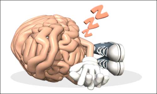 sing designer genes, researchers at UB and Harvard were able to 'turn on' specific neurons in the brainstem that result in deep sleep.  Image: Dreamstime