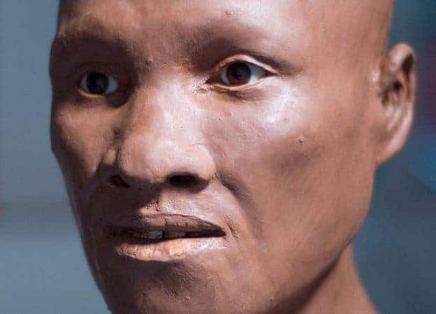 This reconstruction of another ancient modern human found in Romania 43,000 years ago gives us a glimpse of how the Siberian man might have looked like. 