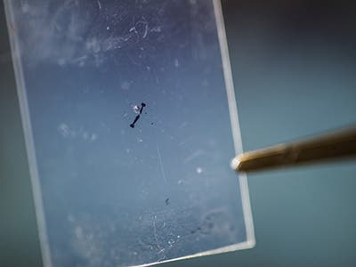 An atomically thin material, molybdenum disulfide (MoS2), shown, could be the basis for unique electric generator and mechanosensation devices that are optically transparent, extremely light, and very bendable and stretchable. —Image courtesy of Rob Felt/Georgia Tech