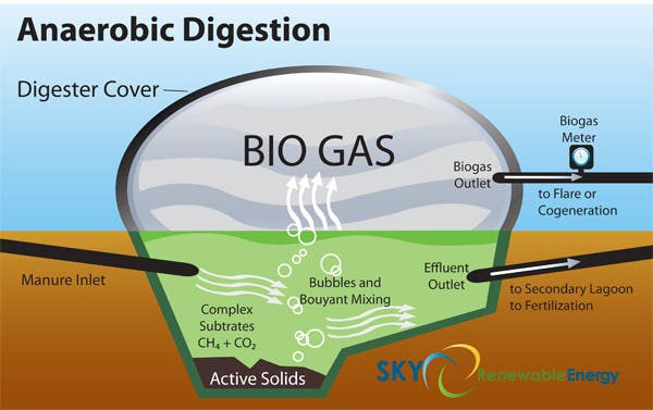 Process scheme for a typical anaerobic digester. Credit: Sky Renewable Energy