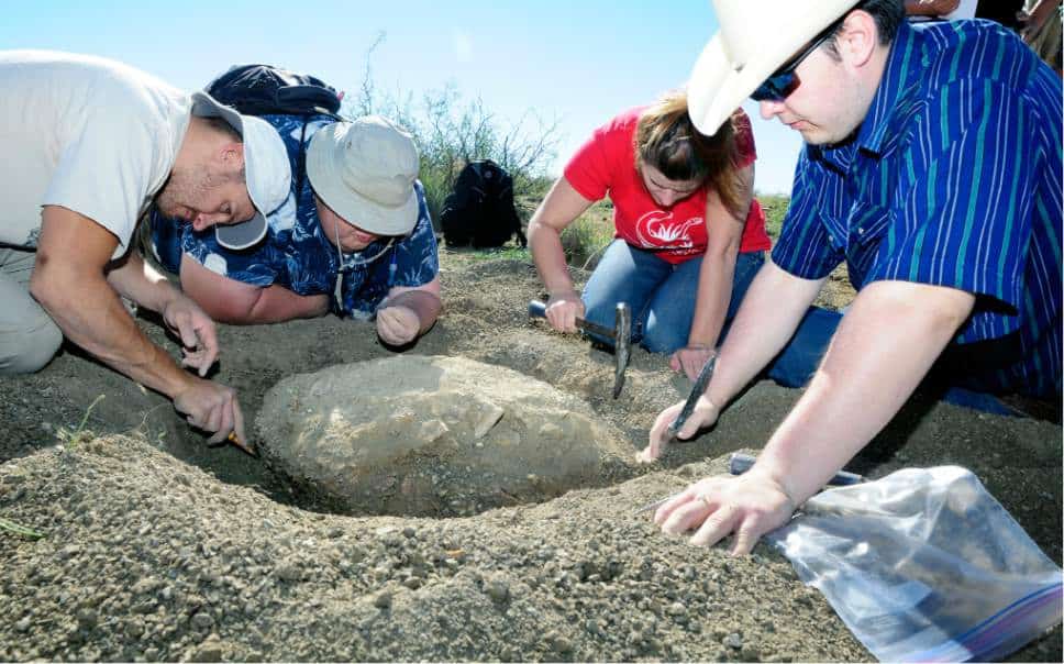n this undated photo, people from the New Mexico Museum of Natural History pictured from left to right, fossil preparer Tom Suazo, geosciences collections manager Amanda Cantrell, volunteer Jake Sayler and student researcher Asher Lichtig excavate a turtle fossil east of Turtleback Mountain, N.M., a well-known peak near Truth or Consequences. The fossilized remains of the turtle are believed to have lived in a swampy environment tens of millions of years ago. (AP Photo/The Las Cruces Sun-News, Robin Zielinski) 