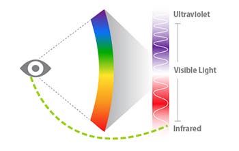 The human eye can detect only those light frequencies that fall in the so-called visible spectrum. Anything outside of it, like the ultraviolet or infrared range, can't be detected, hence seen. In some special conditions, however, scientists have demonstrated that its possible to notice infrared light. 