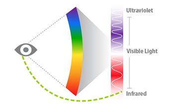 The human eye can detect only those light frequencies that fall in the so-called visible spectrum. Anything outside of it, like the ultraviolet or infrared range, can't be detected, hence seen. In some special conditions, however, scientists have demonstrated that its possible to notice infrared light.