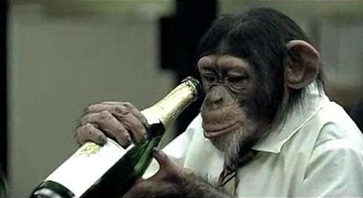 Our ability to ingest alcohol safely originated 10 million years ago in common ancestor of humans and chimps. Image: Daily Mail