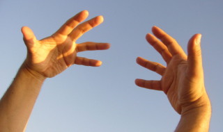 human hands ancestor