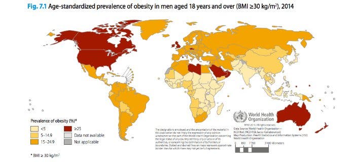 obesity map
