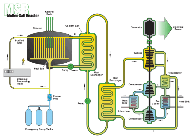 molten salt reactor