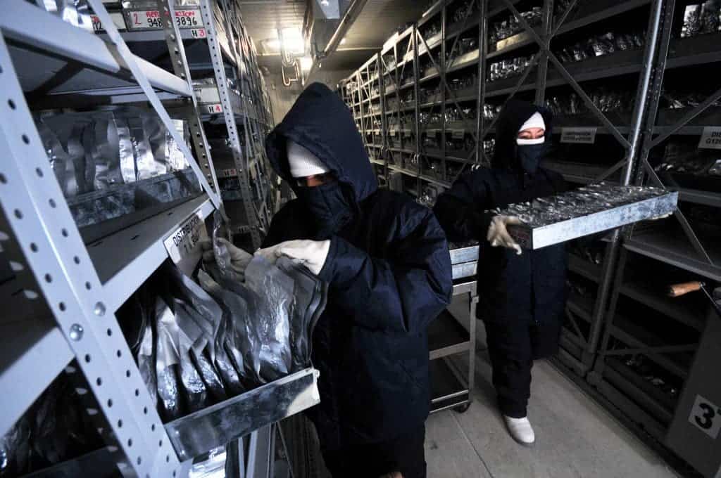 CIAT’s gene bank fridges. Beans are kept at -18°C to preserve them from decay.(Neil Palmer, CIAT)