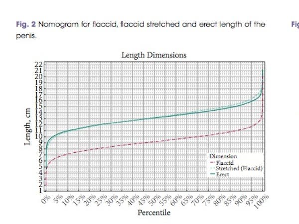 what is the average penis size what is the average penis size