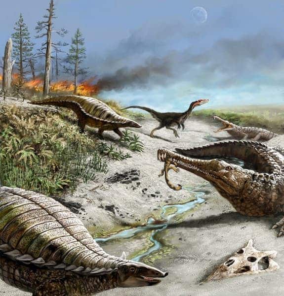 212 million years ago in what is now northern New Mexico, the landscape was dry and hot with common wildfires. Early dinosaurs such as the carnivorous dinosaur in background were small and rare, whereas other reptiles such as the long-snouted phytosaurs and armored aetosaurs were quite common. Illustration: Victor Leshyk