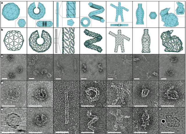 Some of the shapes the researchers printed using DNA. Högberg et al, 2015
